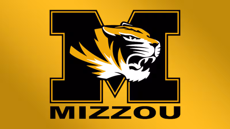 Let's "Paint" a Reality Picture For Mizzou