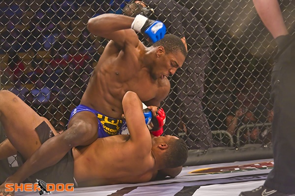 UFC 123: Davis vs. Boetsch Breakdown